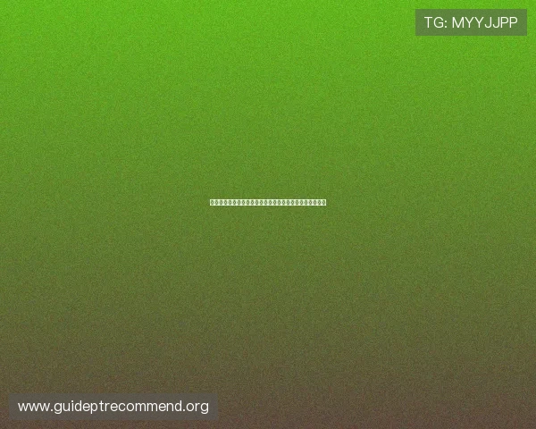 详细解析波黑队在卡塔尔世界杯的赛程安排与比赛精彩看点
